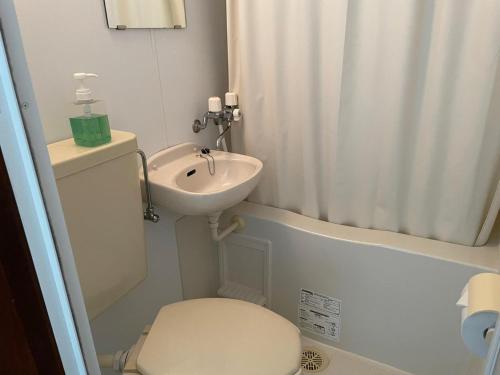 ein kleines Badezimmer mit Toilette und Waschbecken in der Unterkunft Southern Village Okinawa - Vacation STAY 09954v in Kishaba