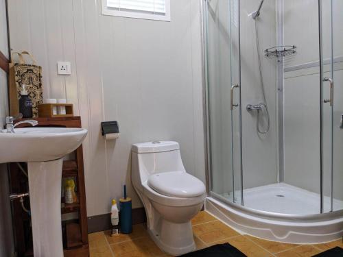 a bathroom with a shower and a toilet and a sink at Noho Mai in Nuku Hiva