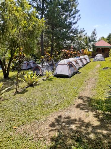 una fila di tende sedute nell'erba in un campo di Noah's Ark Campsite & Restaurant a Fort Portal