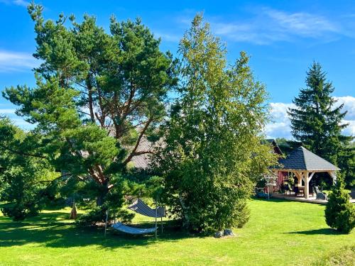 a house with trees and a hammock in a yard at Suurekivi külalistemaja in Reigi