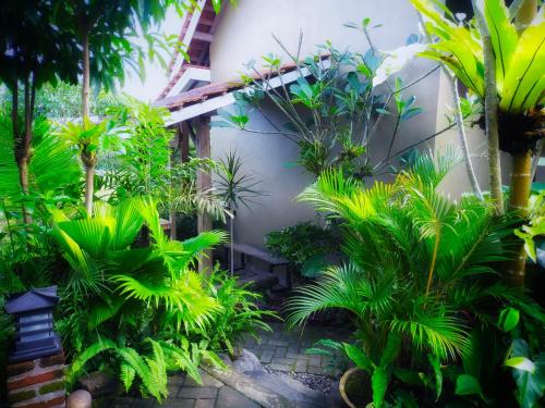 AUREIRIN Guesthouseにある庭