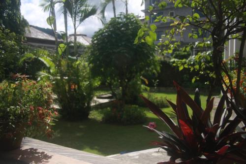a garden with plants and trees and a house at Vagabond Guest House in Pokhara