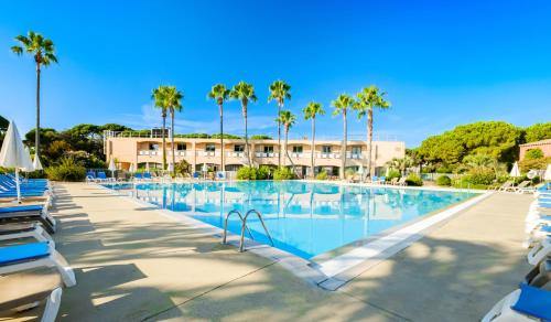 une grande piscine avec chaises et palmiers dans l'établissement Résidence Pierre & Vacances Les Rives de Cannes Mandelieu, à Mandelieu-la-Napoule