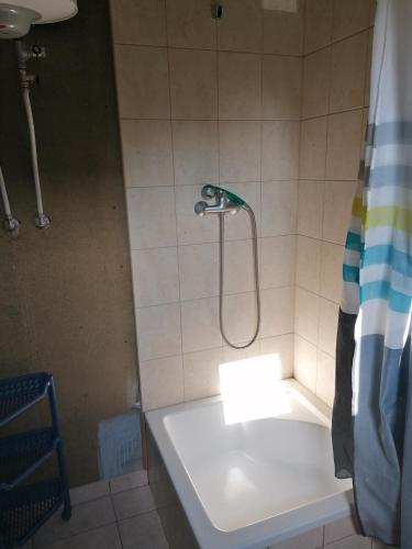 a shower in a bathroom with a white sink at DOM KĄCIK in Kąty Rybackie