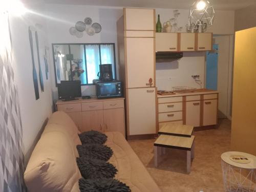 ein Wohnzimmer mit Couch und Küche in der Unterkunft CAUTERETS Appartement F 2 vue sur montagne in Cauterets