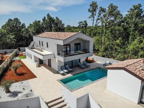 an aerial view of a house with a swimming pool at Villa Istra Relax Diamond in Rebići