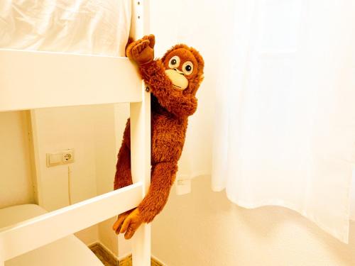 a stuffed monkey hanging off the side of a bunk bed at Casa junto al Mar in El Ejido