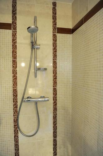 a shower in a bathroom with a shower head at La closeraie in Lantages