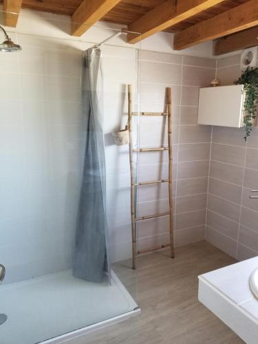 a shower in a bathroom with a ladder at Belle villa classée 4 étoiles proche plage avec jardin in Saint-Cyprien-Plage