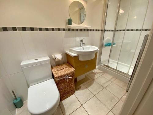 ein Badezimmer mit Toilette, Waschbecken und Dusche in der Unterkunft Seagull Leigh Cottages in Seaton