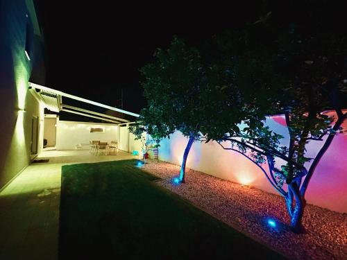 two trees with blue lights in a yard at night at Villa Noga Rooms in Selargius