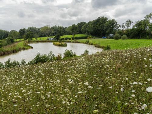 Landskap semula jadi dekat dengan rumah percutian