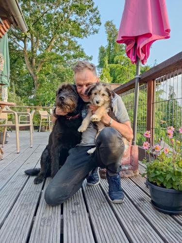 a man sitting on a deck holding two dogs at Gasthaus Düther Schleuse in Düthe