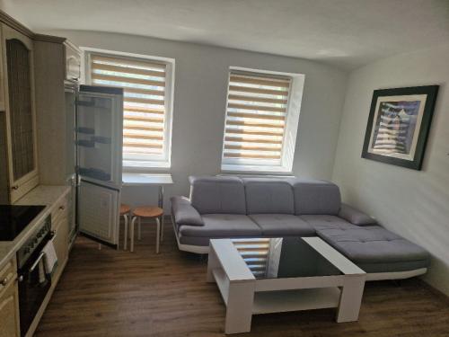 ein Wohnzimmer mit einem Sofa und einem Tisch in der Unterkunft Penzion Dubí - Ruská 393 - 110 in Dubí