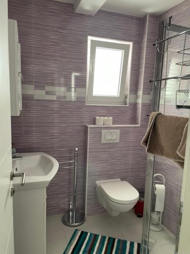 een kleine badkamer met een toilet en een wastafel bij Apartments Đurđa, Sabunike in Privlaka