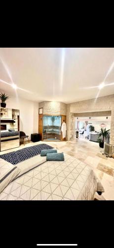- une grande chambre avec un grand lit dans l'établissement Suite Privative Jacuzzi Sauna de la Villa Del Castagnol, à Saint-Nexans