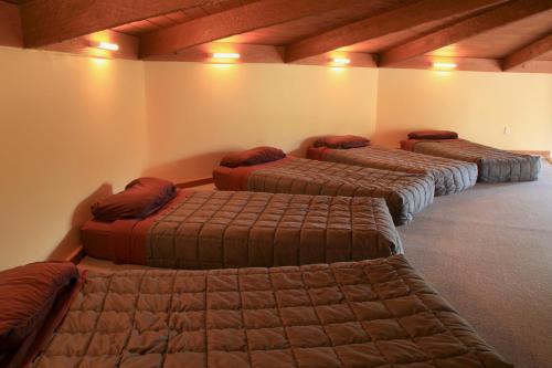 a row of four beds in a room at Te Nikau Retreat in Punakaiki