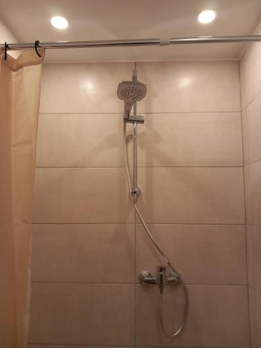 a shower with a shower head in a bathroom at Ferienwohnung 1 Bartölke in Bockenem