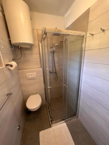 a bathroom with a shower with a toilet and a sink at Apartments Tomic in Premantura