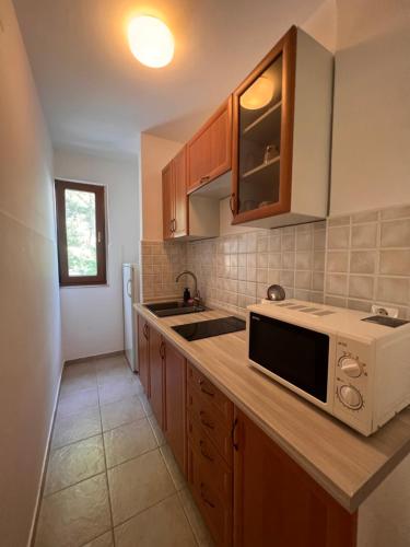 a kitchen with a sink and a microwave at Apartments Tomic in Premantura