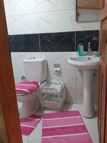 a bathroom with a toilet and a sink at Mert Village house in Ortaca