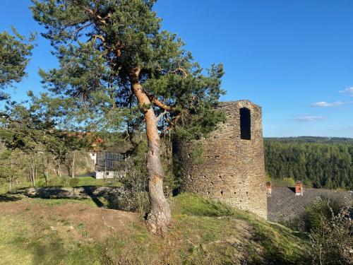 a tree next to a tower on a hill at Hvězdný glamping in Manětín