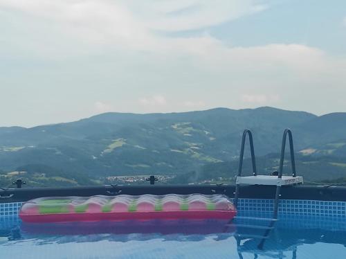 a pool with a colorful raft in the water at OSADA WASYLÓWKA in Laskowa