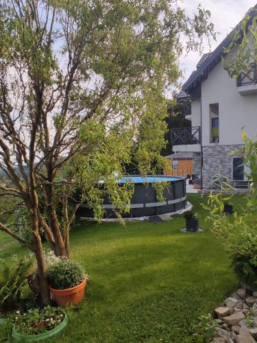 a yard with a tree and a swimming pool at OSADA WASYLÓWKA in Laskowa
