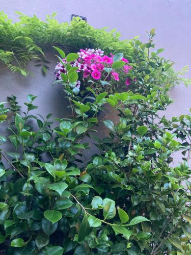 a wreath of flowers on the side of a wall at Chez Roya in Zaventem