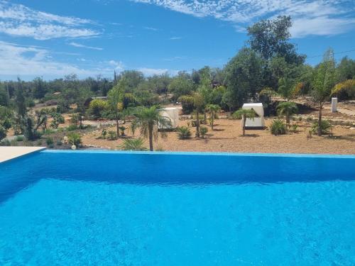 a blue swimming pool with a view of a forest at Eco Cabin - Villa das Alfarrobas in Algoz