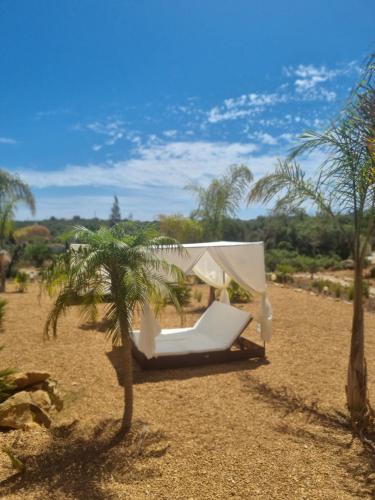 a white chair sitting under a palm tree on the beach at Eco Cabin - Villa das Alfarrobas in Algoz