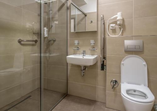 a bathroom with a toilet and a sink and a shower at Rehabilitační sanatorium - Lázně Darkov in Mizerov