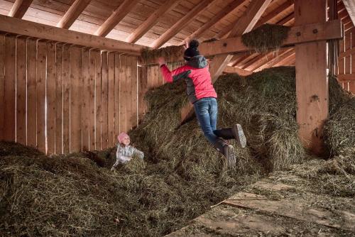 a person jumping off a pile of hay in a barn at Ratschingser Kreuz Blasighof in Racines