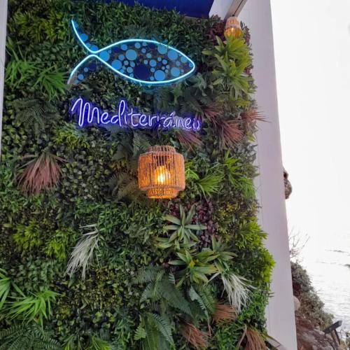 a wall of plants with a sign that reads miami forever at Mediterrâneo Madeira in São Vicente