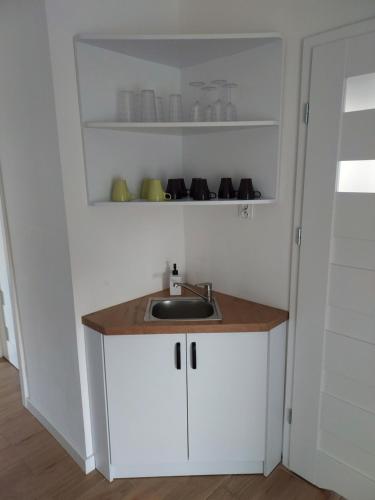 uma cozinha com um lavatório num quarto em Apartament Świerkowa em Lidzbark