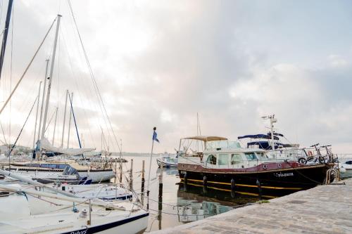 eine Gruppe von Booten, die in einem Hafen angedockt sind in der Unterkunft Hébergement insolite en demi-pension et excursion en bateau in Bouzigues