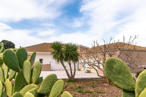 a group of cacti in front of a house at Coste Ponente Appartamenti Turistici in Ragusa