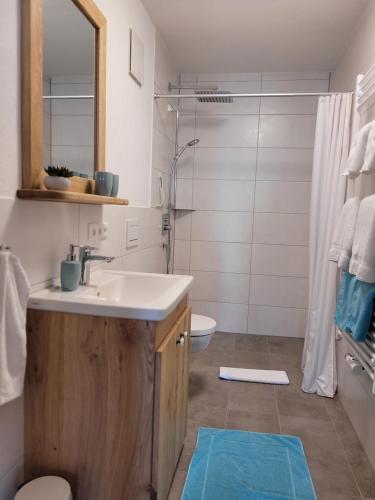 a bathroom with a sink and a toilet and a shower at Ebenerdige Ferienwohnung Beim Schmölz in Hopferau