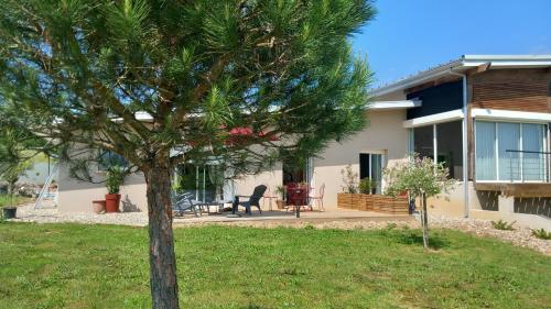 a palm tree in front of a house at Millésime in Perville