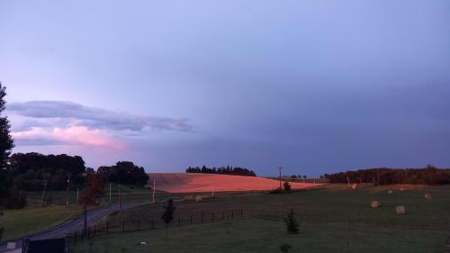 a field with a red field with trees and a road at Millésime in Perville