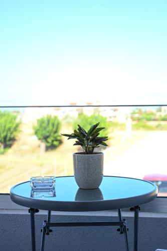 a blue table with a potted plant on top of it at Costa Varda Apartments in Mourteri
