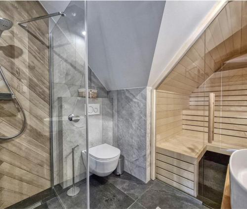 a bathroom with a shower and a toilet and a sink at Luxury apartment with sauna and garden on the Czorsztyn lake in Kluszkowce