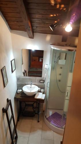 a bathroom with a sink and a shower at HOME SWEET HOME in Antey-Saint-André