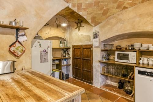 a kitchen with a counter and a refrigerator and shelves at Mas Alba in San Esteban de Guialbes