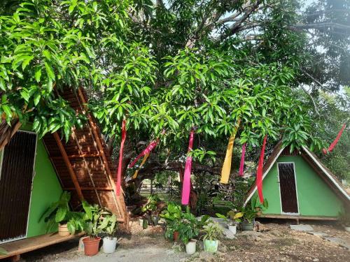 Κήπος έξω από το Lagkaw Uno in Lagkaw Homestay