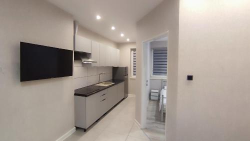 Kuchyň nebo kuchyňský kout v ubytování Apartamenty Tuwima