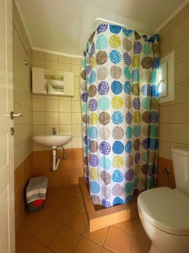 a bathroom with a toilet and a shower curtain at Afroessa apartments in Mesariá