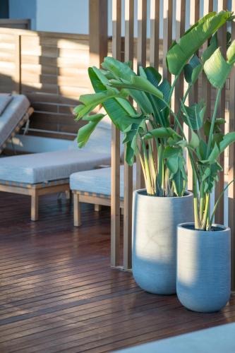 two blue pots with plants in them on a wooden floor at AKASHA Beach Hotel & Spa in Hersonissos