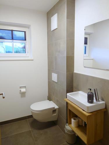 a bathroom with a toilet and a sink at AlpiNest Feriendorf Lungau in Mariapfarr