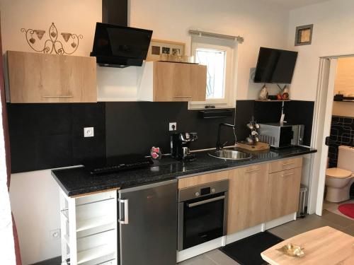 une cuisine avec un évier et un plan de travail dans l'établissement Studio Détente à 10mn de la Gare et Aéroport St Exupéry, à Colombier-Saugnieu